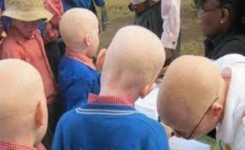 ALBINOS 2