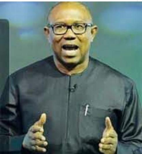 Security Agents ‘Silently Arresting’ The Obidients, Peter Obi Cries Out