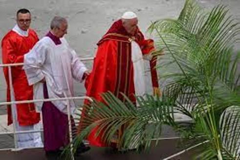 POPE FRNACIS AND PALM SUNDAY