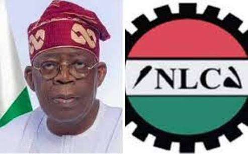 TINUBU AND NLC