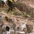 Car Buried With Two Bankers’ And Driver’s Corpses  Found In Nasarawa