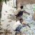 Minister Foresees Nigeria Breaking World  Record On  Open Defecation Ranking