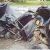 Twenty Eight Family Members Perished In Auto Crash