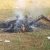 Angry Youths Set Man Ablaze For Killing Seven Family Members, Two Others