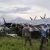 67 People Escape Death As South African Military Plane Crash-Lands In Congo