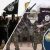 Suspected Boko Haram Islamists Kill  30, Set Scores Of Vehicles Ablaze