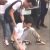 Coronavirus: Lagosians Panic As Chinese Man Collapses On Obalende Street