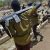 Four UNIBEN Lecturers, Thirteen Students Abducted By Suspected Herdsmen In Edo State