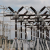 Senate Asks FG To Consider Comprehensive Review Of Power Privatization Policy