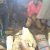 Customs intercepts 73 Guns, 891 Cartridges Hidden In Lorry Loaded With Bags Of  Rice  In Kebbi