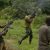 Bandits Shot Journalist Dead, Kidnap Many Travellers In Katsina