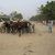 12 Dead, 48 Injured As Fishermen, Herders Clash In Cameroon