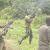Bandits Kidnap Customs Officer In Zamfara, Demand N10m Ransom