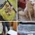 Fleeing Suspected Robbers Abandon Vehicle, Gun, Dog, Jewelries In Lagos