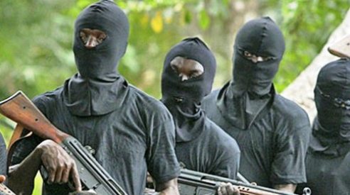 Gunmen Storm Private Hospital In Anambra, Forcefully Take Away Four Newborn Babies