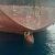 JAPA: People Amazed Image Of Three Nigerian Migrants Discovered On Ship’s Rudder