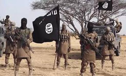 ISWAP Commander Executes Deputy Over Nigeria Troop Attack On Hideout, Killing Of 41 Fighters
