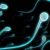 Sperm Selling Business Booms In Ghana, Other Poor African Countries