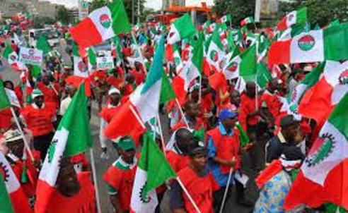 Subsidy: NLC Divided As North, South-West Chapters May Back Out Of  Planned Strike