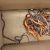 Woman Arrested While Attempting  To Smuggle  70 Snakes, Anaconda Into Israel