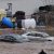 Heavy Flood Washes Away Two Kids, Two Adults, Submerges Vehicles In Canada