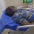 Nollywood  Actor Zack Orji Admitted For Brain Surgery In Abuja Hospital