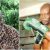 How  Ex-World Boxing Federation Cruiserweight Champion, Bash Ali Went From Millionaire To Zeronaire