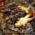 Hunger: Frog Meat Business Boom In Nigeria
