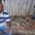 Self-Acclaimed Healer Arrested With 24 Human Skulls