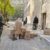 Rebels Loot Cash In Syrian Central Bank, Cash, Ferraris, Clothes In Assad’s Palace
