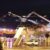 176 Passengers Escape Death As Plane Catches Fire At South Korean Airport