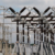 Let The DISCOs Die For Nigerians To Have Light
