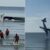 Six Police Officers Confirm Dead  As Plane Plunges Into Sea