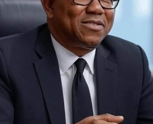 Peter Obi Urges Accountants To Tackle Nigeria Govt On ‘Reckless Borrowings’